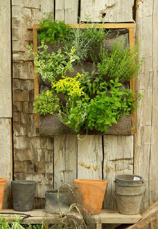 Vertical Herb Garden What Is It, DIY Plans, And Photos • Insteading